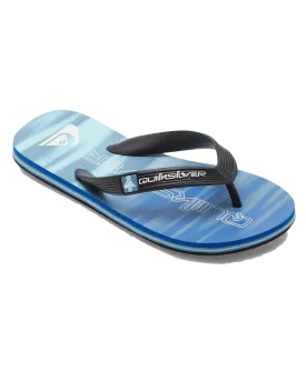 Boys Molokai Art II Flip Flops in Blue 2