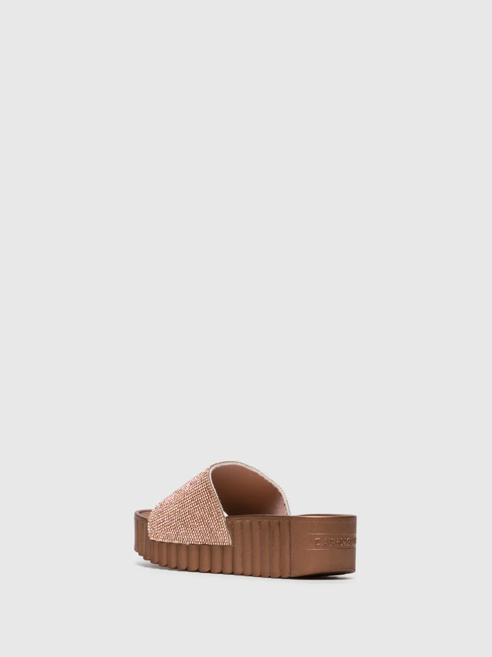 SandyBrown Appliqués Flip-Flops