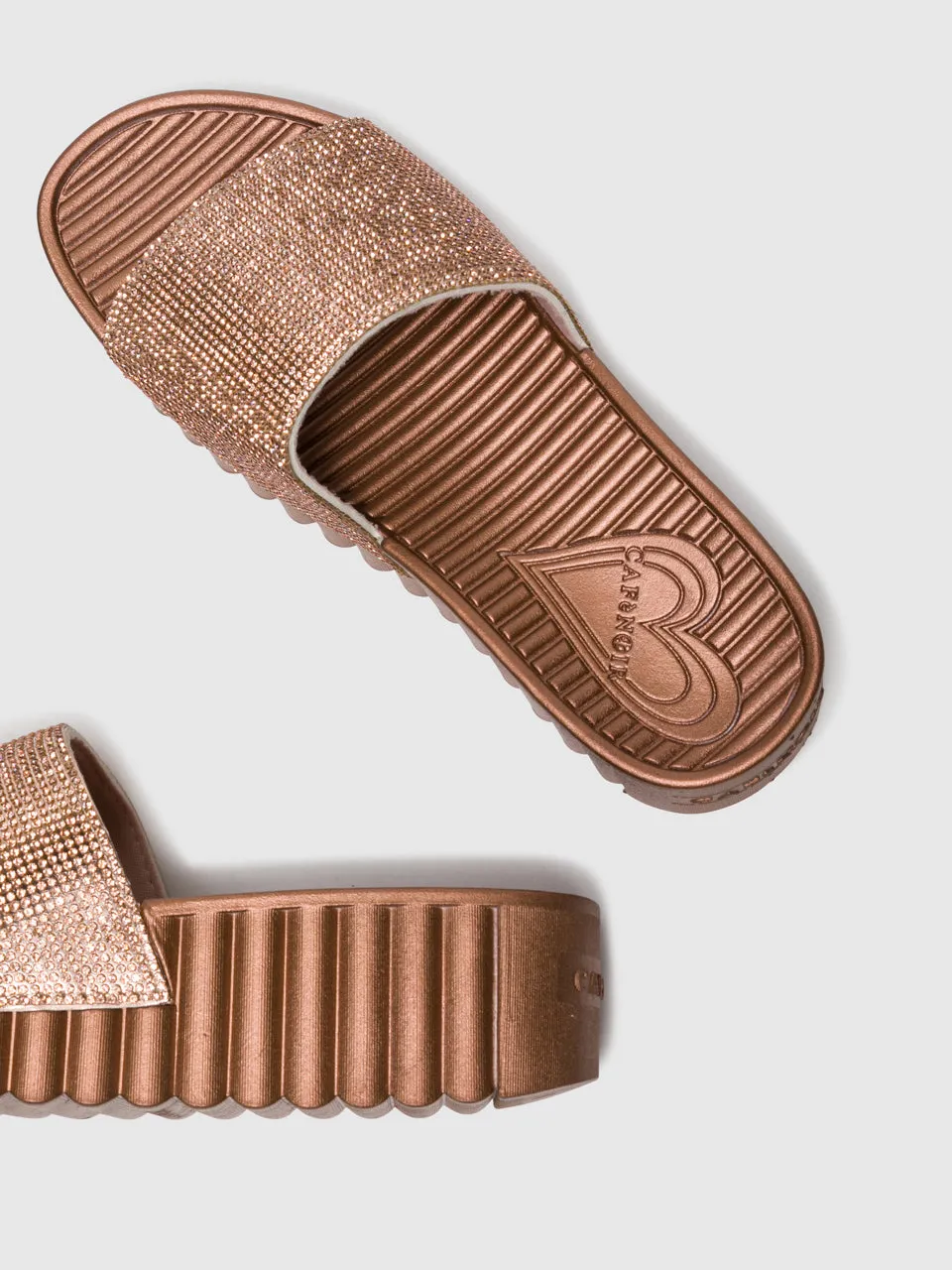 SandyBrown Appliqués Flip-Flops